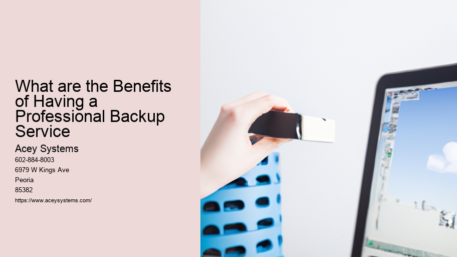 What are the Benefits of Having a Professional Backup Service